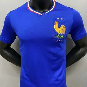 France European Cup new football jersey(70+ styles)-1994